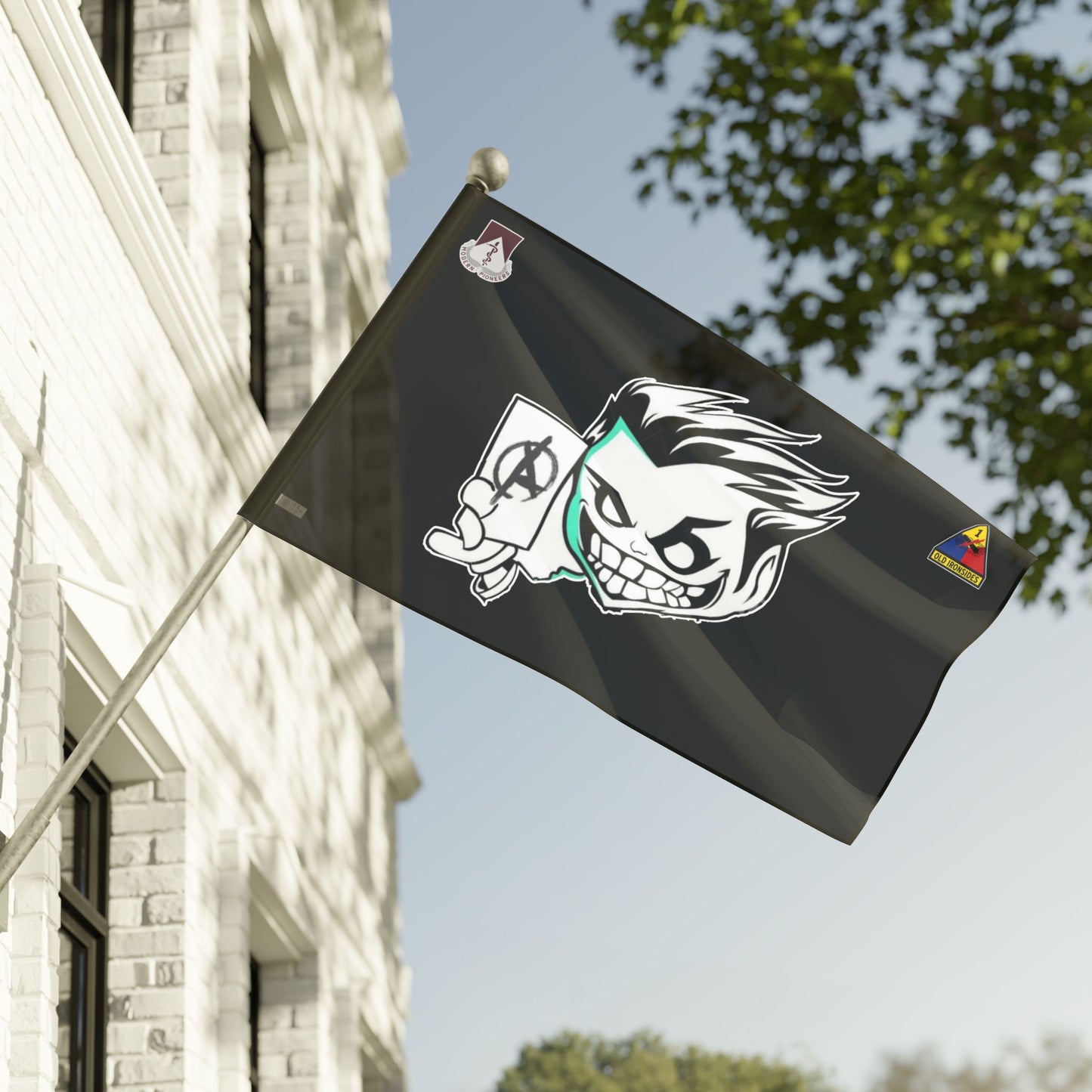 A CO ASYLUM Flag