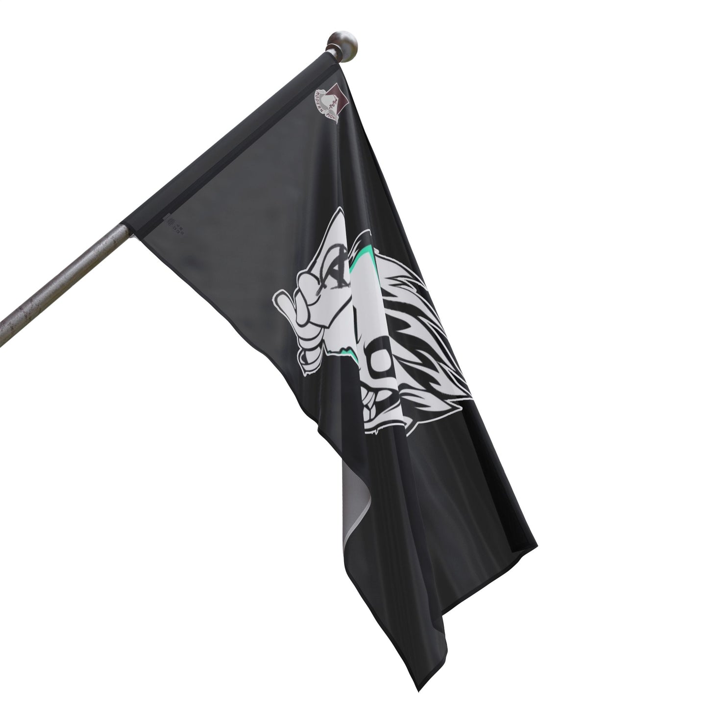A CO ASYLUM Flag