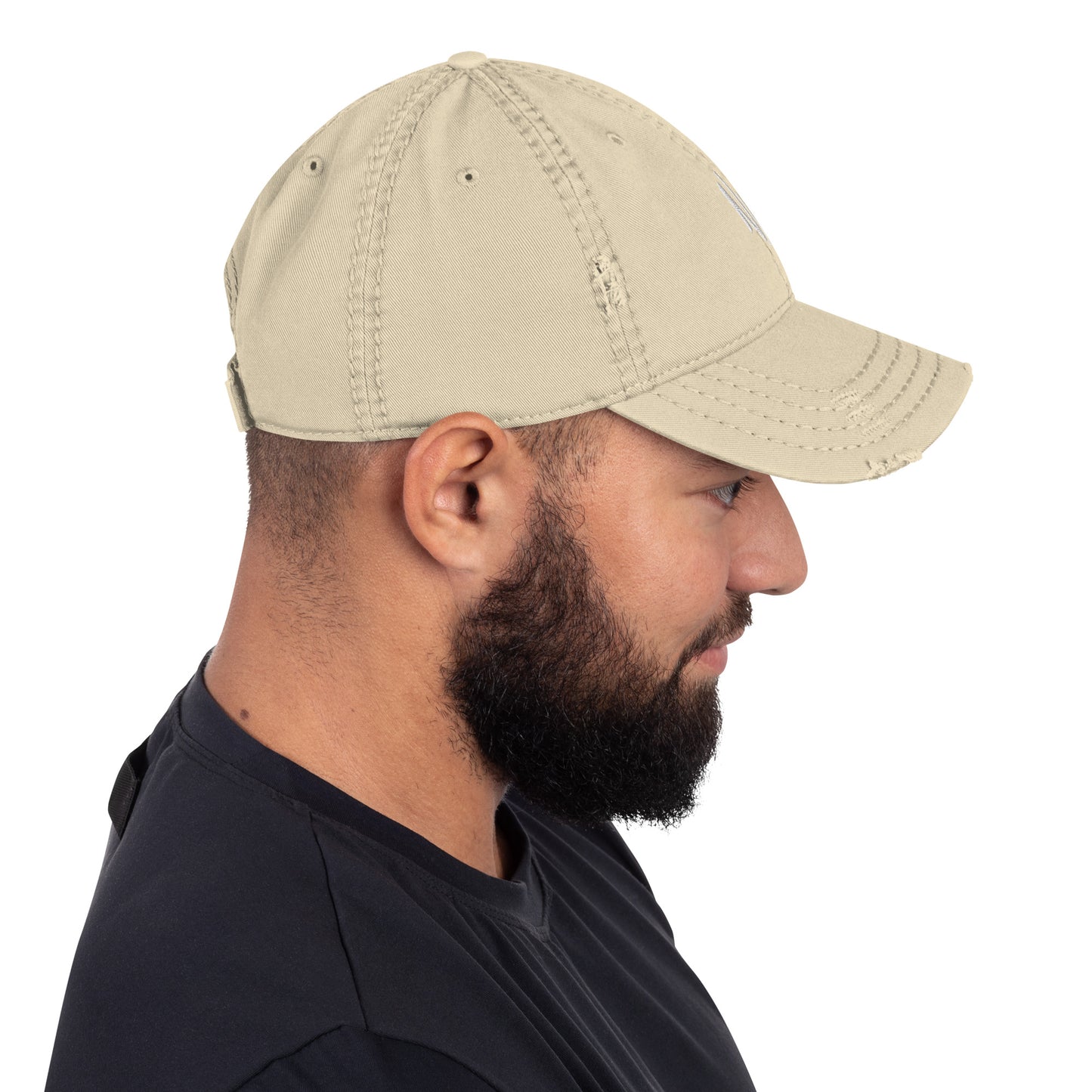 NL Distressed Dad Hat